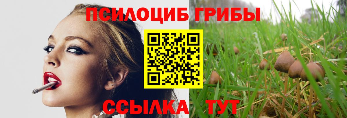 Псилоцибиновые грибы мухоморы Миллерово